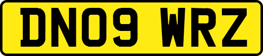 DN09WRZ