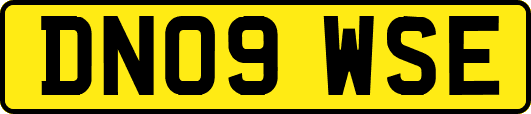 DN09WSE