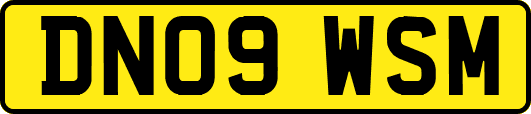 DN09WSM