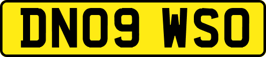 DN09WSO