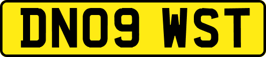 DN09WST