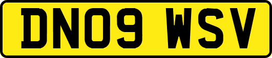 DN09WSV