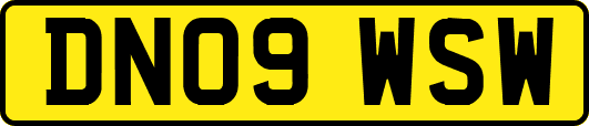 DN09WSW