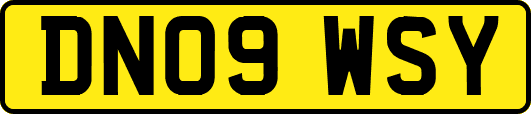 DN09WSY