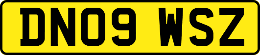 DN09WSZ
