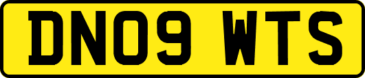 DN09WTS