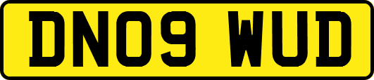 DN09WUD