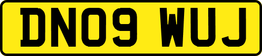 DN09WUJ