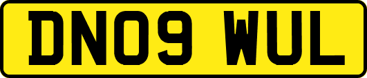 DN09WUL
