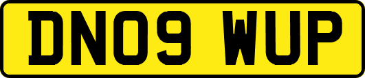 DN09WUP