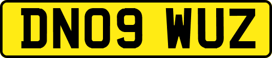 DN09WUZ