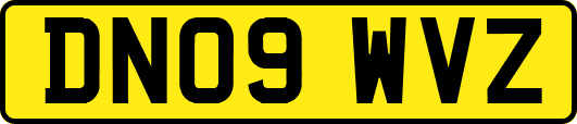DN09WVZ