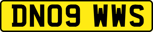DN09WWS