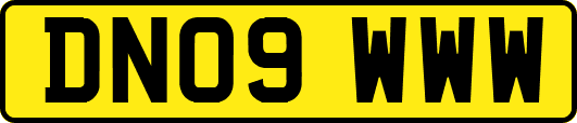 DN09WWW