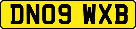 DN09WXB