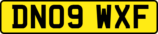 DN09WXF
