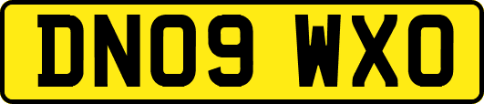 DN09WXO