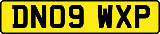 DN09WXP