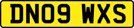 DN09WXS