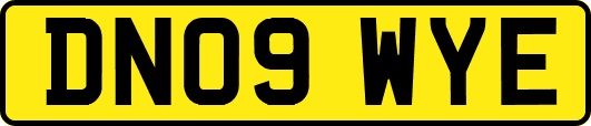 DN09WYE