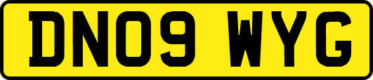 DN09WYG