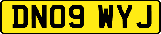 DN09WYJ