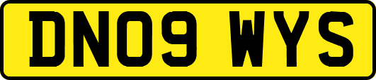 DN09WYS