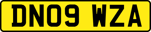 DN09WZA