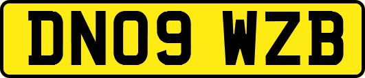 DN09WZB