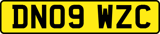 DN09WZC