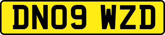 DN09WZD