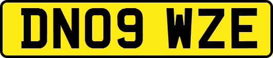 DN09WZE