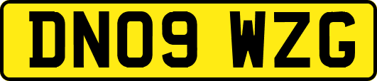 DN09WZG
