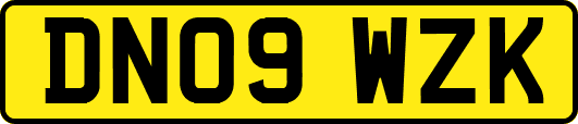 DN09WZK