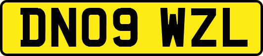DN09WZL