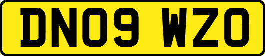 DN09WZO