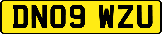 DN09WZU