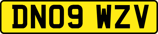DN09WZV