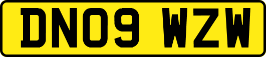 DN09WZW