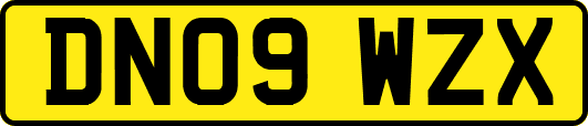 DN09WZX