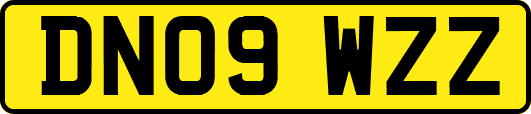 DN09WZZ