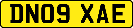 DN09XAE