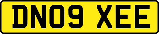 DN09XEE