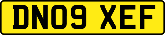 DN09XEF