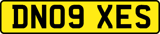 DN09XES