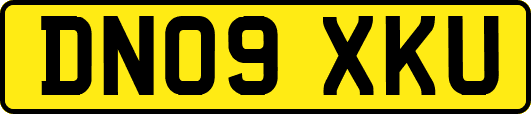 DN09XKU