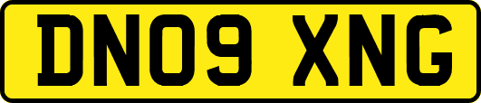 DN09XNG