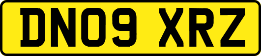DN09XRZ