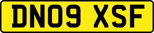 DN09XSF