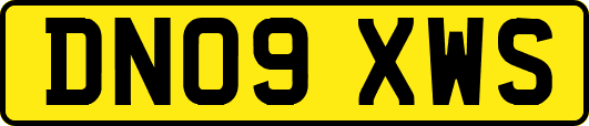 DN09XWS